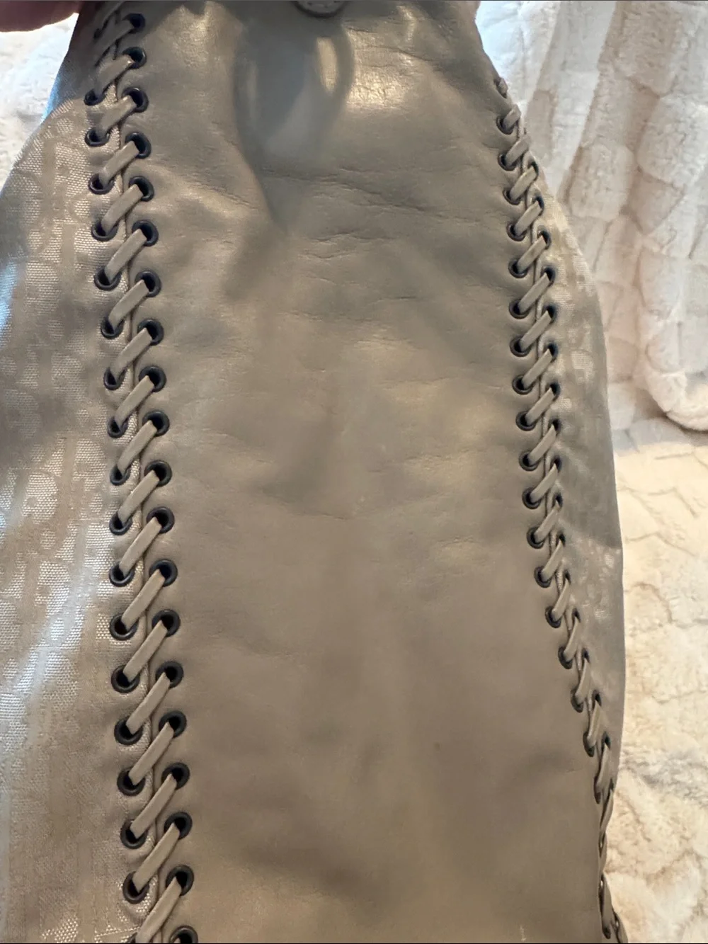 Dior Beige Monogram Hobo Shoulder Bag